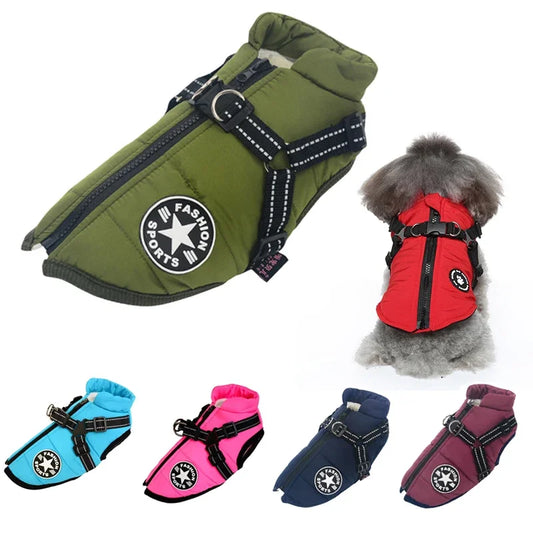 Dog wearing waterproof jacket on outdoor walk | ARLOW